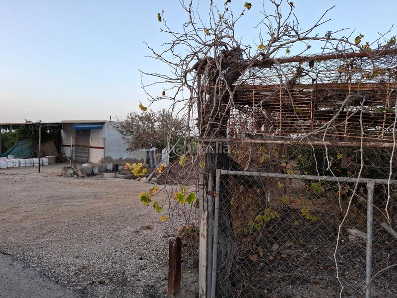 Foto 6b521d22-4953-44bc-9737-909f8def87e7. Rural plot in Puerto Deportivo Guardamar del Segura