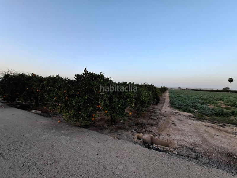 Foto 9d8e0c76-2130-4759-91d2-7b8f8d2dd1a4. Rural plot in Puerto Deportivo Guardamar del Segura