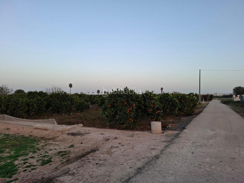 Foto a0a03e8c-54fd-42b6-a028-882b4b29f57c. Rural plot in Puerto Deportivo Guardamar del Segura
