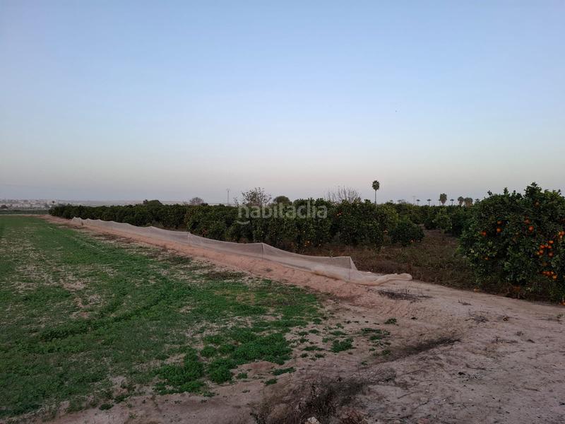 Foto b0f5a340-cc4d-4f7d-817e-46cd3e6137af. Rural plot in Puerto Deportivo Guardamar del Segura