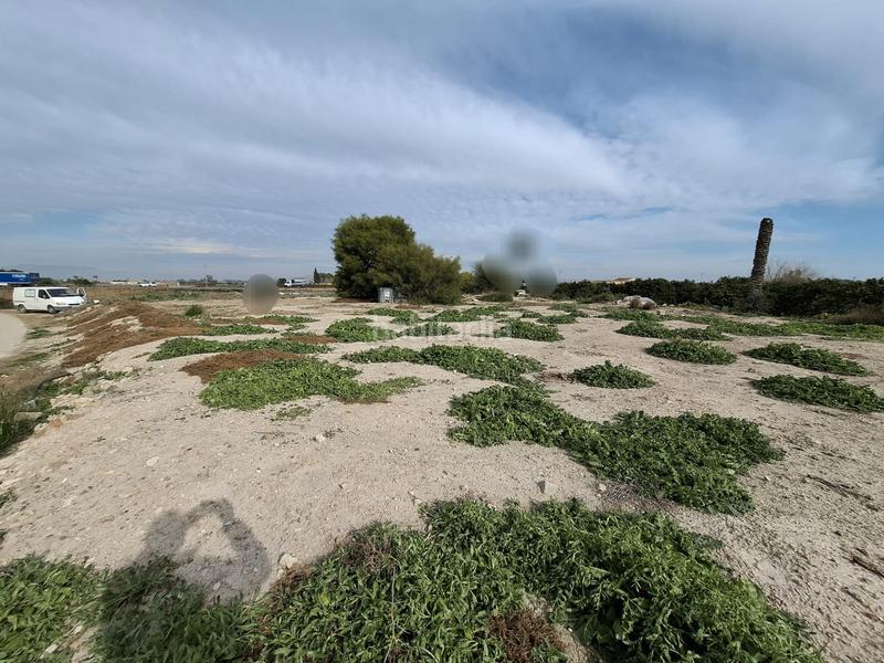 Foto 049bc543-2811-42f9-b59d-30c57e2e97b4. Landgut in San Fulgencio