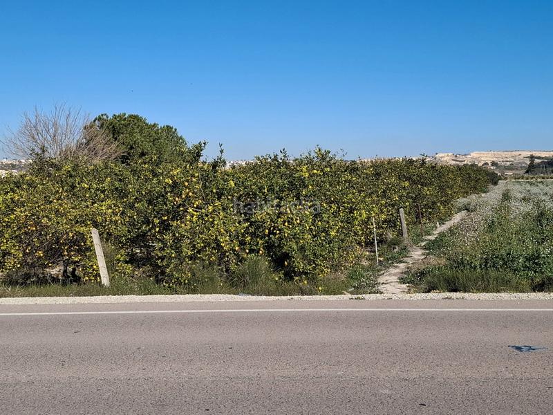 Foto 19496e4f-ade4-402e-8b1c-63ddf4e3a193. Landgut in San Fulgencio