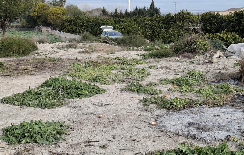 Foto 28467674-4c48-4ddd-98a0-6bd5572a9b3c. Landgut in San Fulgencio