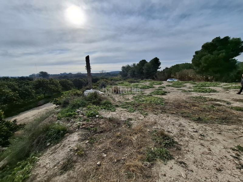 Foto 40b216f8-b3a9-42c5-8b6c-e05aeee7e56f. Landgut in San Fulgencio