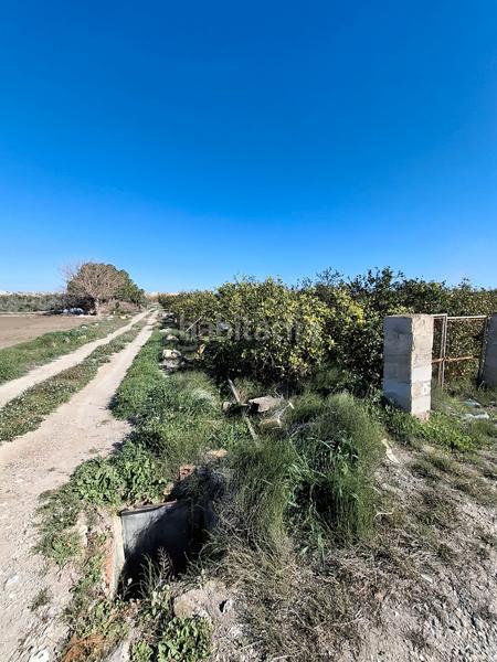 Foto 7347ea2a-104d-4748-b6be-4ed4a7d98a66. Landgut in San Fulgencio