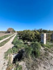 Finca rstica en San Fulgencio. Bonito terreno en san fulgencio cerca de todos los servicios!