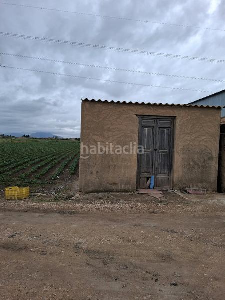 Foto a7c6833a-4cf6-4c4a-92f7-0492cfd114cf. Rural plot in San Fulgencio