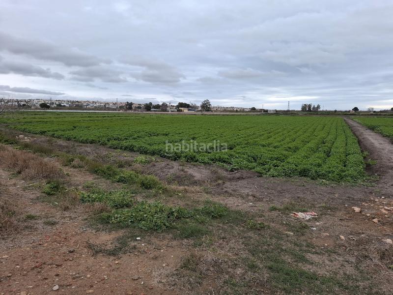 Foto 435072d6-90f0-4e14-a9b5-3c9388b87f59. Rural plot in San Fulgencio