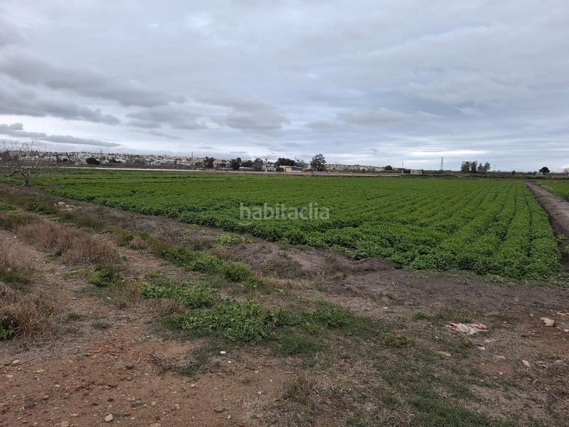 Foto c0be2a04-36d2-46c3-a4c0-720e29a70504. Rural plot in San Fulgencio