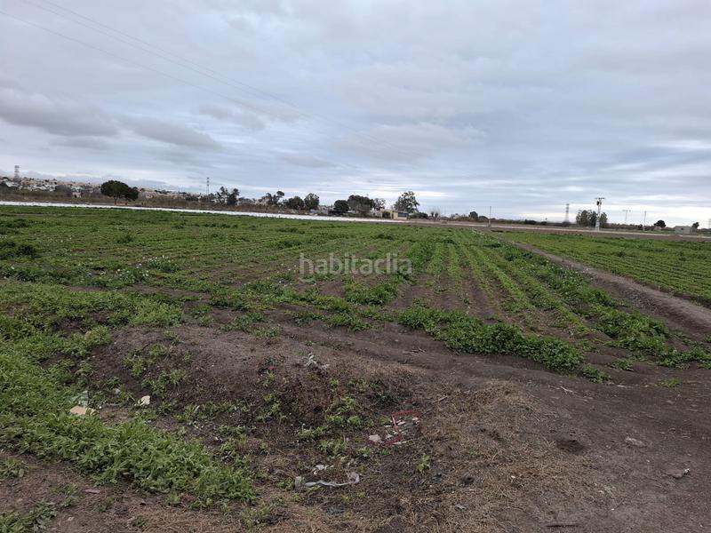 Foto 913f91b7-b563-4994-bcc6-d0c0b7f3bdb7. Rural plot in San Fulgencio