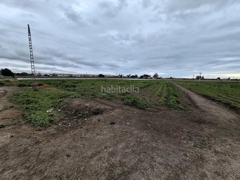 Foto afc64dce-0d3b-4460-9ebb-e13b34ec68e4. Rural plot in San Fulgencio