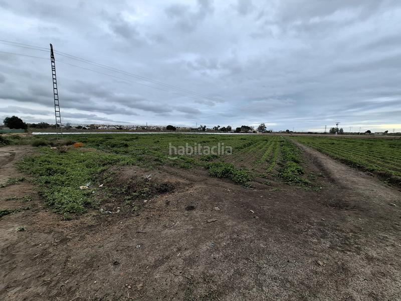 Foto eed9c96a-fc7a-42a9-996b-bf4538dc0ee6. Rural plot in San Fulgencio
