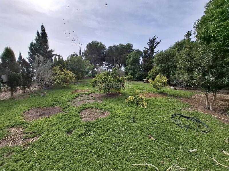 Foto a85cb6cd-aa3f-4c56-a1e0-315bb21a367d. Masia amb xemeneia aparcament a El Edén Guardamar del Segura