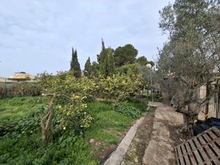 Masia  Partida saavedra. Bonita finca rustica en guardamar!