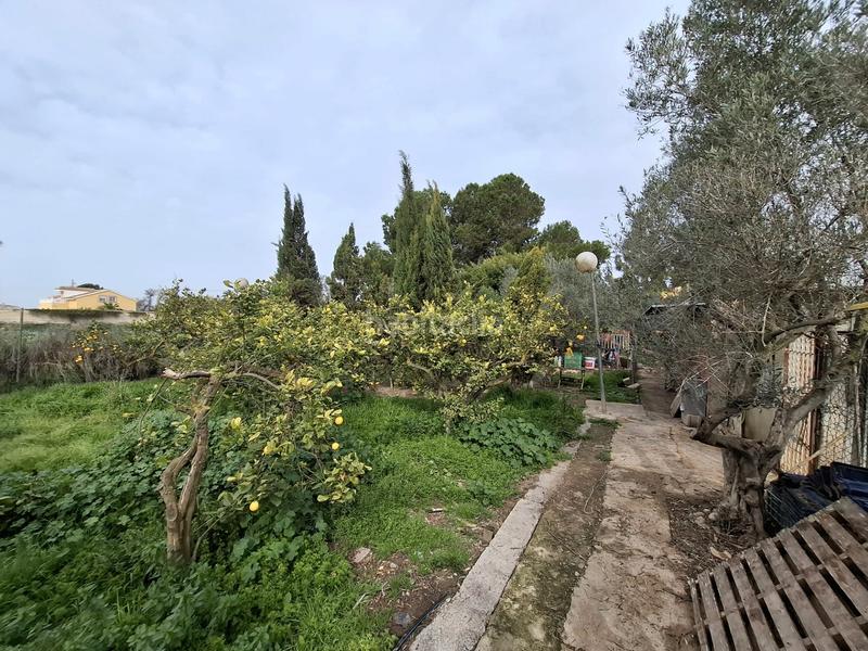 Foto a8c7d8c9-b297-49c4-ac0f-94e037ad8f5e. Masia amb xemeneia aparcament a El Edén Guardamar del Segura