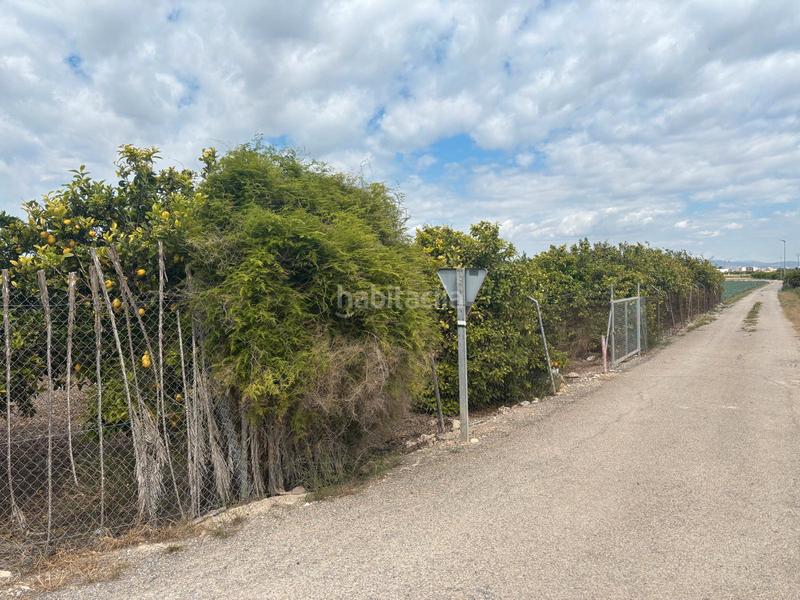 Foto 39c225b4-3f3f-4bd4-9ff9-a8248857f8b8. Masía finca rustica para reformar en rojales en Formentera del Segura