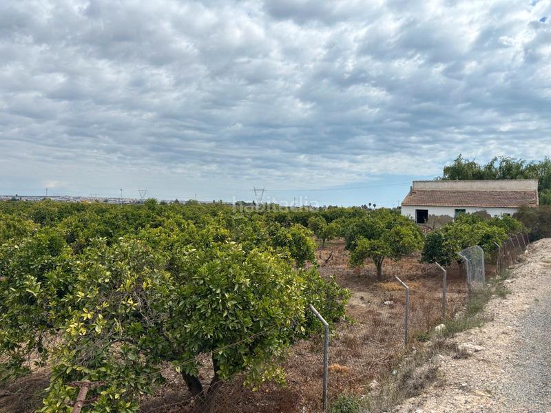 Foto dae533d6-558c-429d-96b9-ced19deaf192. Masía finca rustica para reformar en rojales en Formentera del Segura