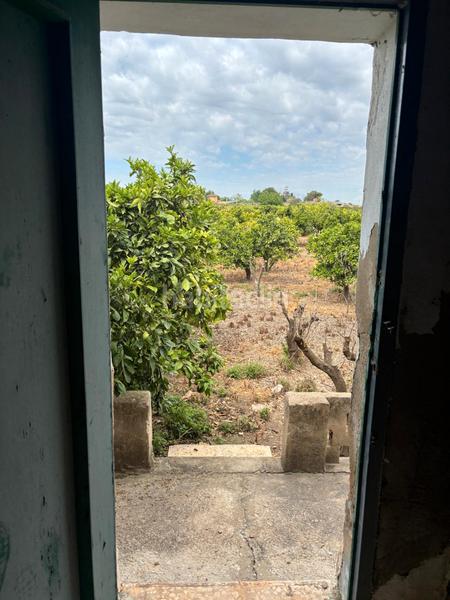 Foto e8763572-f7e0-449e-8829-bbb71ff2af64. Masía finca rustica para reformar en rojales en Formentera del Segura