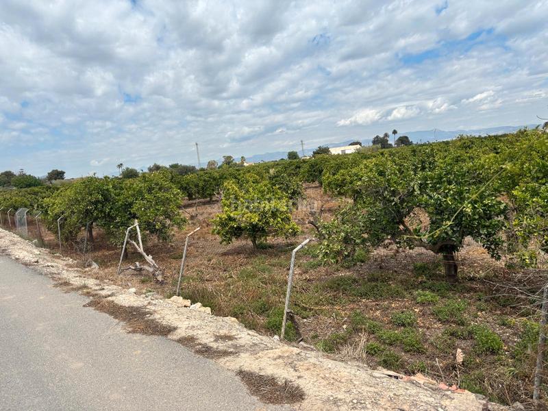 Foto f3cb5d7b-39db-4e0c-9b93-9bd564fbf9eb. Masía finca rustica para reformar en rojales en Formentera del Segura