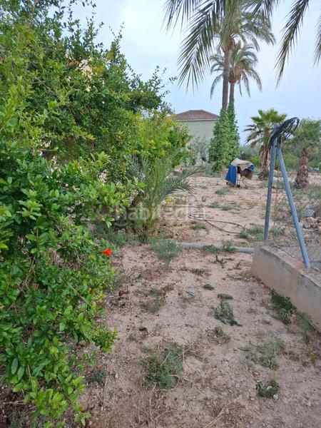 Foto b756aebd-3e47-431c-9c78-19c58c6e9090. Chalet con camino parcheggio in La Algoda - Matola - Llano de San José Elche / Elx