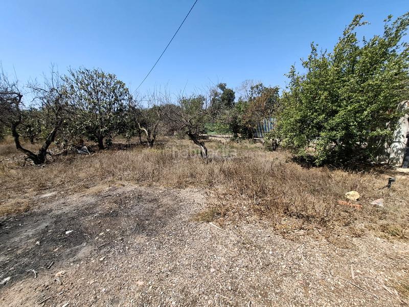 Foto 30ec75fc-2ac8-444b-a474-8e59f3e2d321. Masia amb aparcament a El Moncayo - El Pòrtic Guardamar del Segura