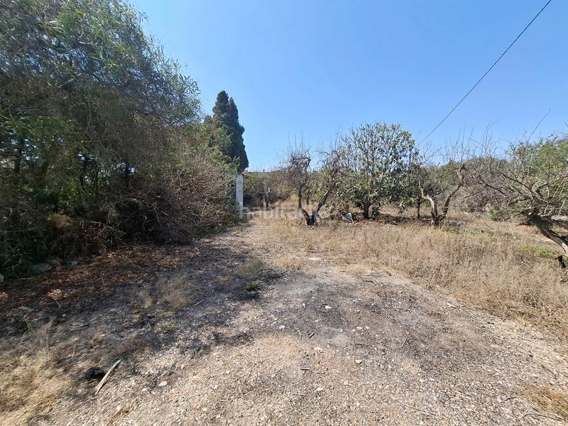 Foto 5c500b20-da0c-427b-8ea4-69edd878184e. Masia amb aparcament a El Moncayo - El Pòrtic Guardamar del Segura