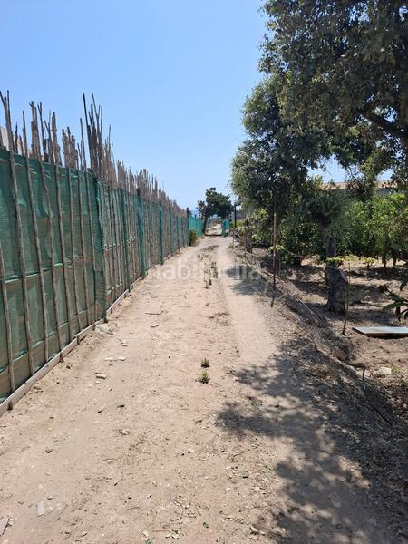 Foto 85494343-5905-4c0e-9c47-5a536e9463b3. Masia amb aparcament a El Moncayo - El Pòrtic Guardamar del Segura