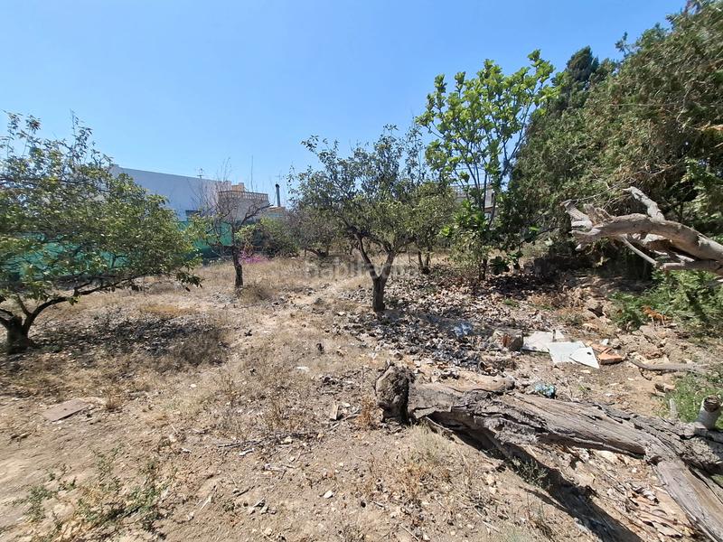 Foto 99a9c4cf-8707-46eb-b89c-156bf314b8d8. Masia amb aparcament a El Moncayo - El Pòrtic Guardamar del Segura