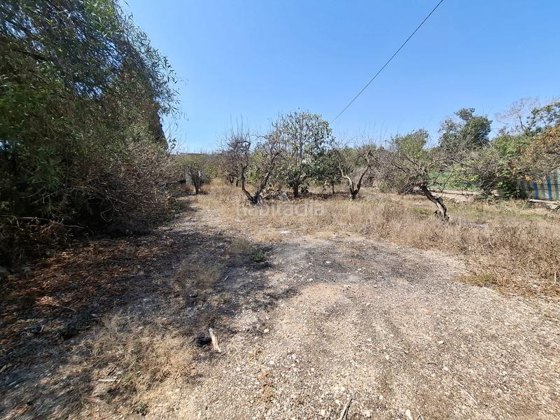 Foto 9f0e43f5-70a2-4187-aea4-8d3621314e3e. Masia amb aparcament a El Moncayo - El Pòrtic Guardamar del Segura