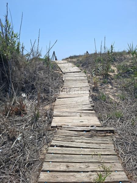 Foto fa319351-41cf-4e8e-a305-d15b18f9ecd9. Masia amb aparcament a El Moncayo - El Pòrtic Guardamar del Segura