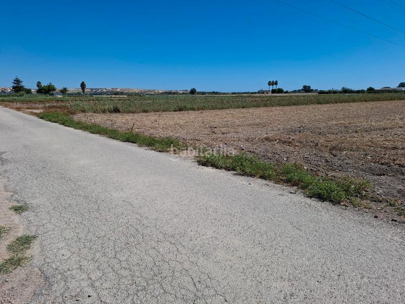 Foto 20cc760c-5ceb-4a41-b40d-8029c1a4cd72. Fondo rustico in El Edén Guardamar del Segura