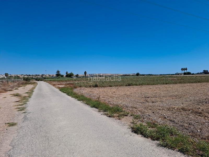 Foto 582ba56b-284c-457a-8d77-4aecccf4588f. Fondo rustico in El Edén Guardamar del Segura