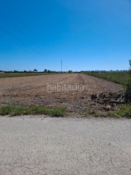 Foto 59a783d9-af33-4d4e-a72d-b1edcbf9cecb. Fondo rustico in El Edén Guardamar del Segura