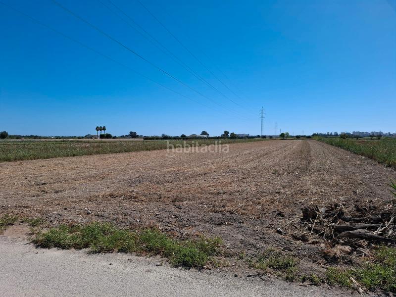 Foto 7b8d313a-443e-43f1-88d7-62e8a4664c81. Fondo rustico in El Edén Guardamar del Segura