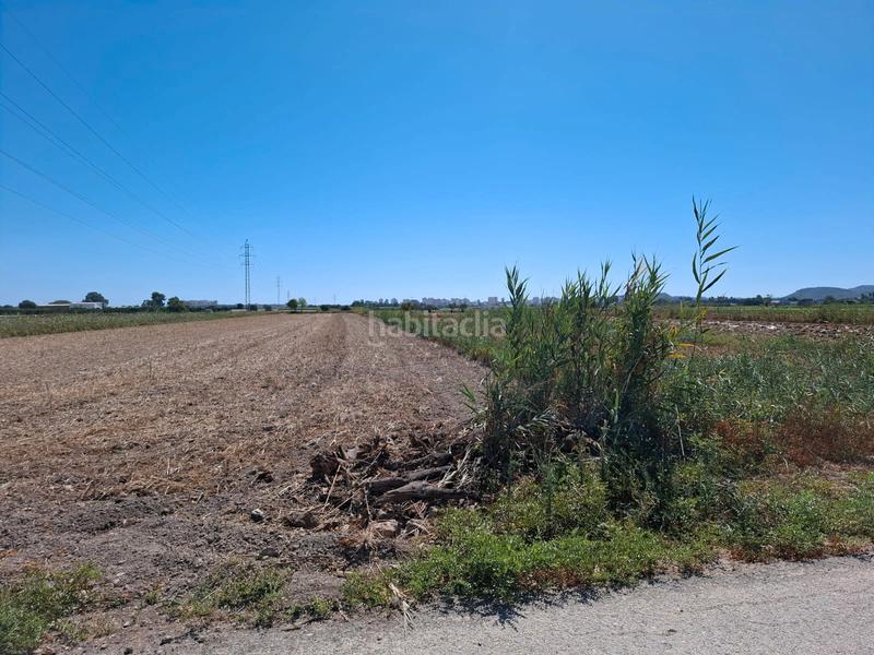 Foto a52d9c97-82d1-4490-95c7-3b6425c251e2. Fondo rustico in El Edén Guardamar del Segura