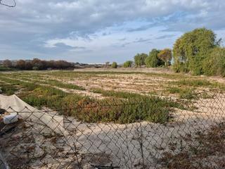 Finca rústica  Partida la capitana. Hermoso terreno en venta en guardamar!