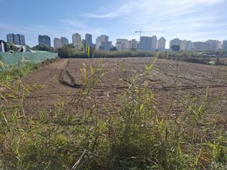 Rural plot  Partida la capitana. ?? tu oasis junto al mar te espera en guardamar