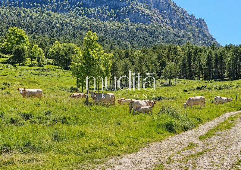 Foto 9bad4379-e2d1-401b-8fdf-bed286038241. Masia amb calefacció aparcament a Guardiola de Berguedà