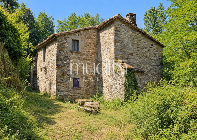 Foto 1ca0c0c1-af51-43d8-89dd-2cb847ff5b13. Masia a Tavertet