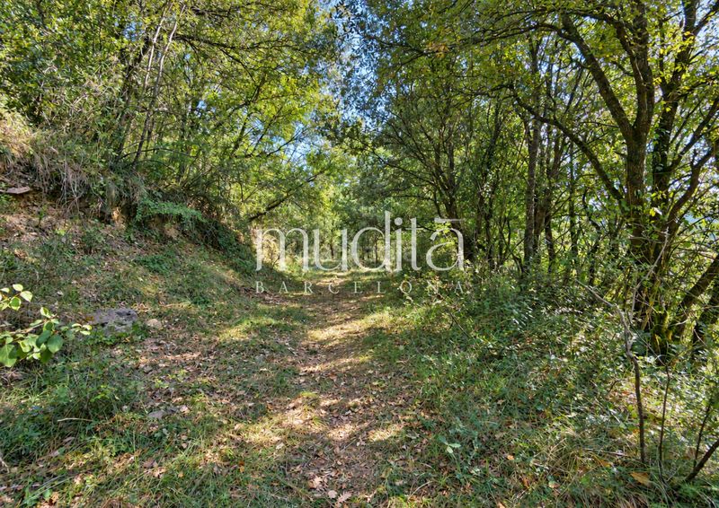Foto 4889e4de-488a-4ac4-a4c9-24c0d85d8de7. Masia a Tavertet