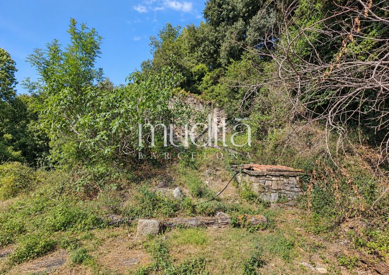 Foto 488d46c8-3b79-4608-8d4c-bd88b09e10e4. Masia a Tavertet