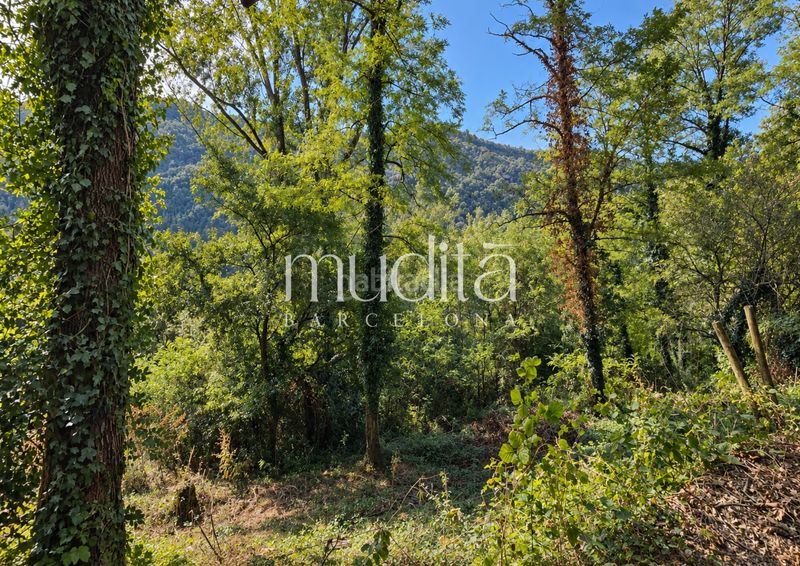 Foto 88526899-d140-407a-878b-f65ae708cf3b. Masia a Tavertet