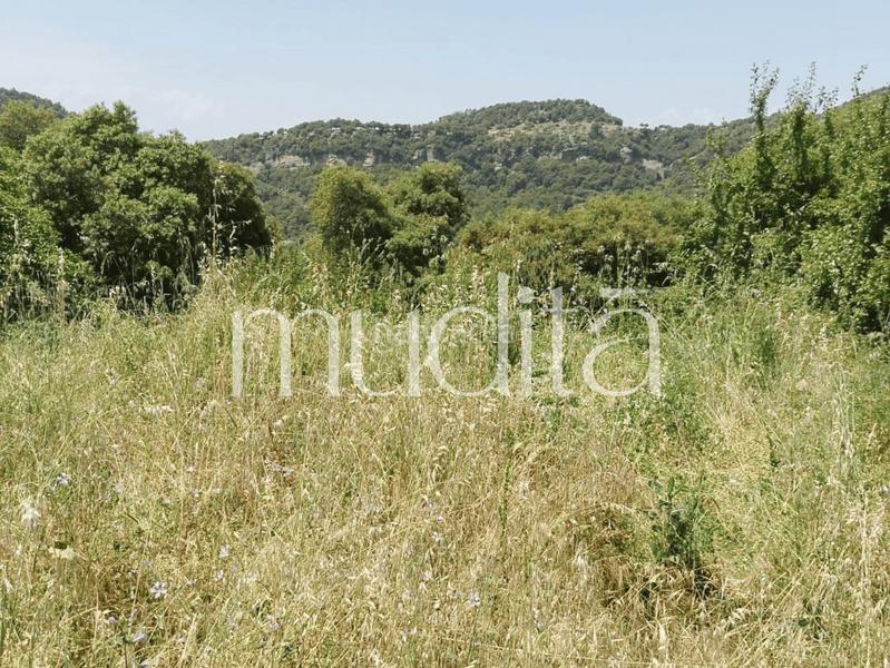 Foto 7596f6c9-9f43-4d60-b815-499d95c15eef. Terreny residencial a Tavertet