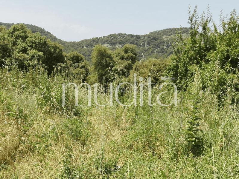 Foto b59a4ecb-d8ff-4ac5-b1f2-1efbc0cf0391. Terreny residencial a Tavertet