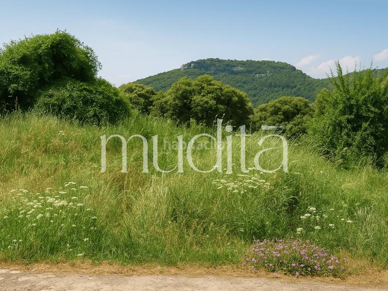 Foto d3fb7cde-9318-4152-b58b-906c1981a66a. Terreny residencial a Tavertet