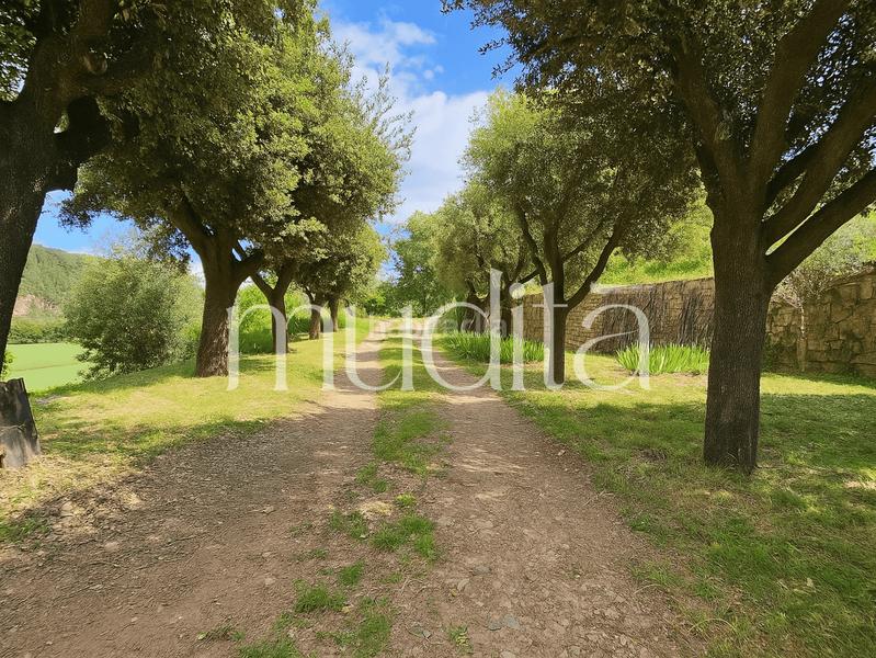 Foto 04746d4c-07e8-4247-908b-a28aa92f939f. Mas dans Avinyó