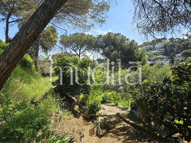 Foto 18a90d4f-0559-4f72-b128-71d8432148a1. Residential plot in Urbanitzacions Argentona