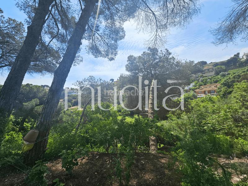 Foto 1f85e524-60f7-4fae-8180-168bc866ee27. Residential plot in Urbanitzacions Argentona