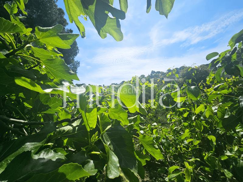 Foto 2af3caec-9583-4995-9624-4209acce1d5c. Residential plot in Urbanitzacions Argentona