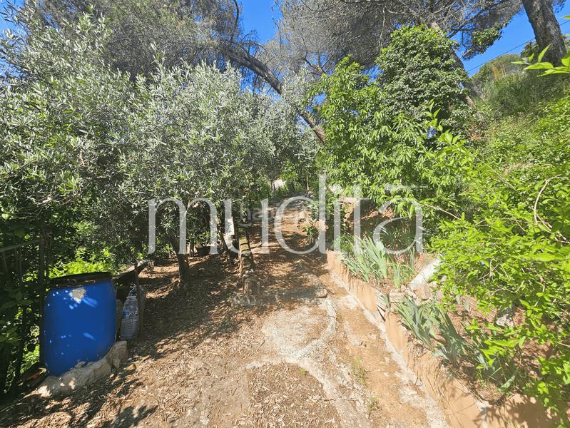 Foto 32a2008a-9beb-4c20-8536-1004f8021458. Residential plot in Urbanitzacions Argentona